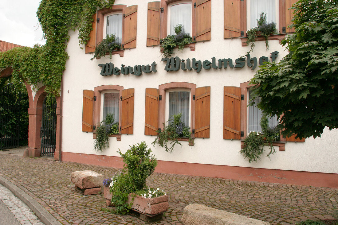 Wilhelmshof Wein- und Sektgut Weingut mit Weinverkauf in Siebeldingen Rheinland-Pfalz