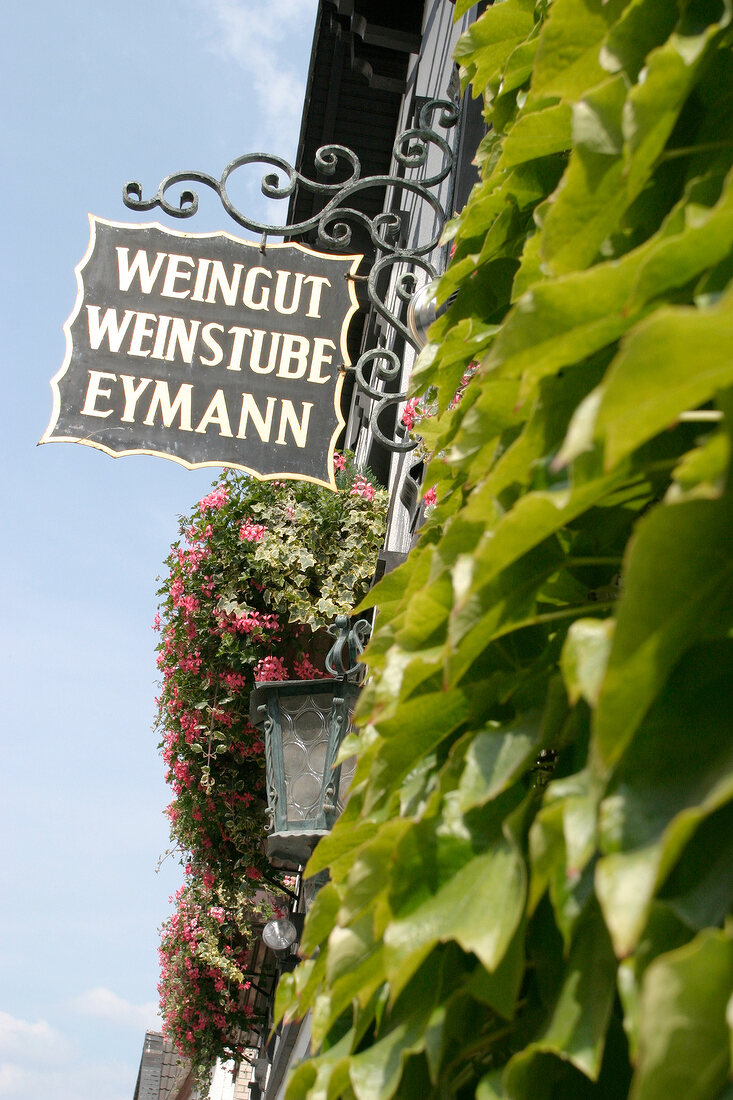 Eymann Weingut mit Weinstube Weinverkauf in Gönnheim Rheinland-Pfalz