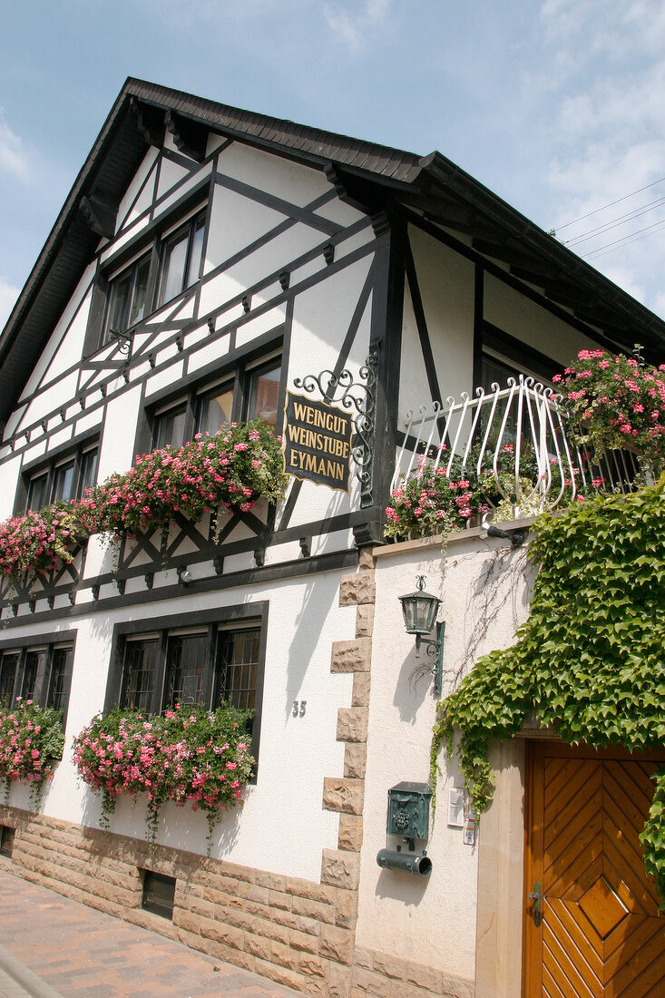 Eymann Weingut mit Weinstube Weinverkauf in Gönnheim Rheinland-Pfalz