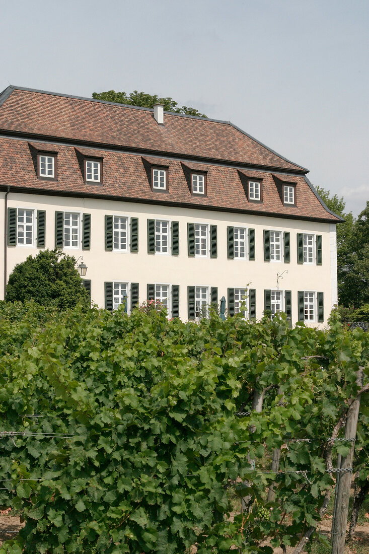 Schumacher Weingut mit Weinverkauf in Herxheim Rheinland-Pfalz Rheinland Pfalz