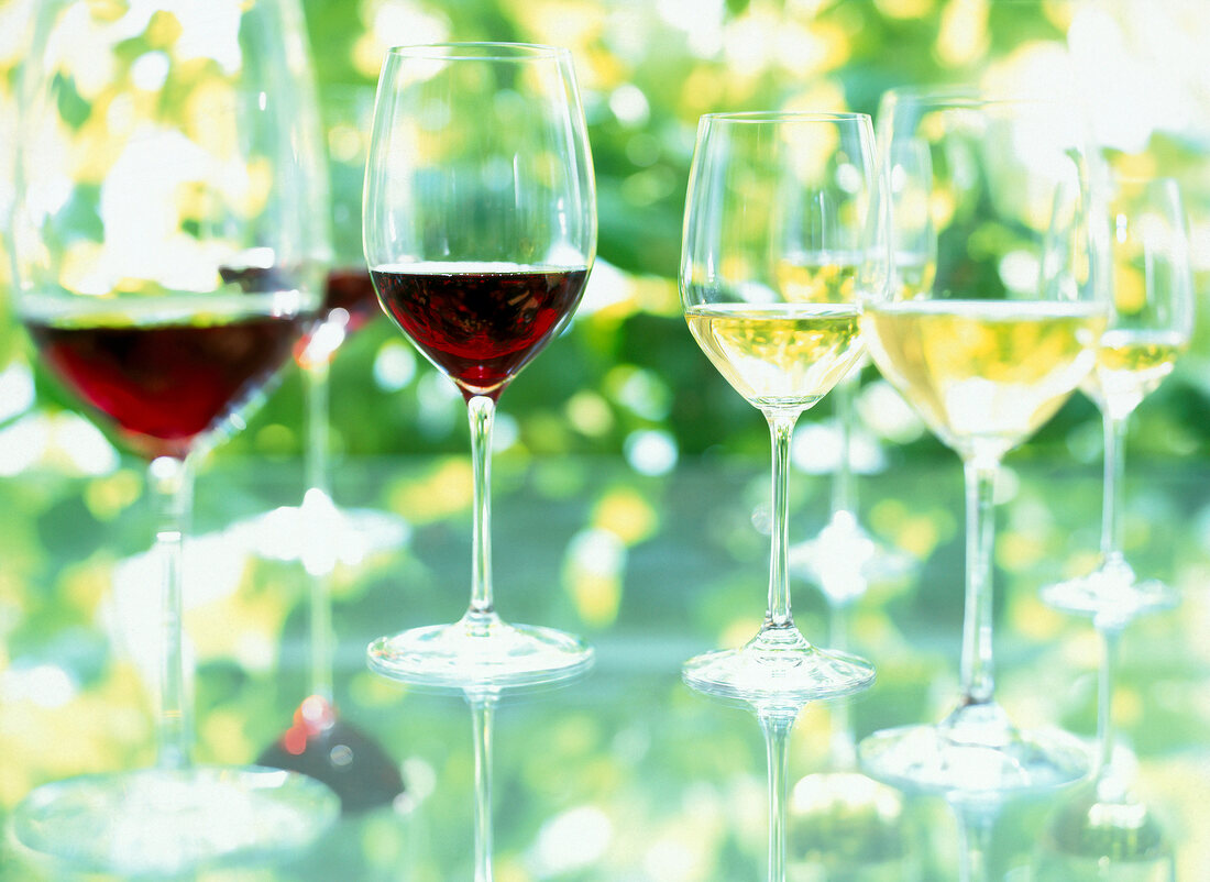Mehrere Weingläser mit Rotwein und Weißwein, close-up