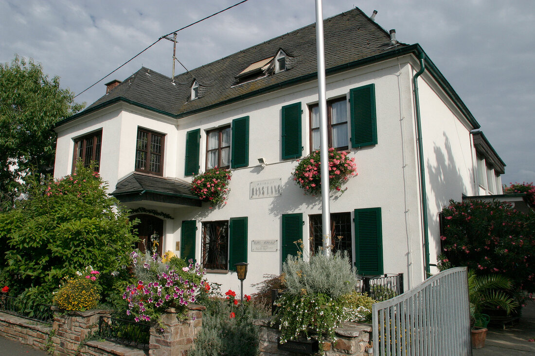 Hans Lang Weingut mit Weinverkauf in Eltville Hessen Deutschland