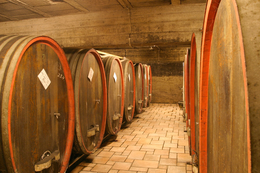 Hans Lang Weingut mit Weinverkauf in Eltville Hessen Deutschland