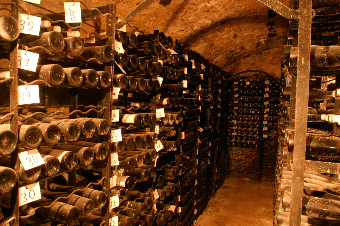 Schloss Reinhartshausen Weingut mit Weinverkauf-Hotel Gutsschänke Gutsschaenke in Eltville