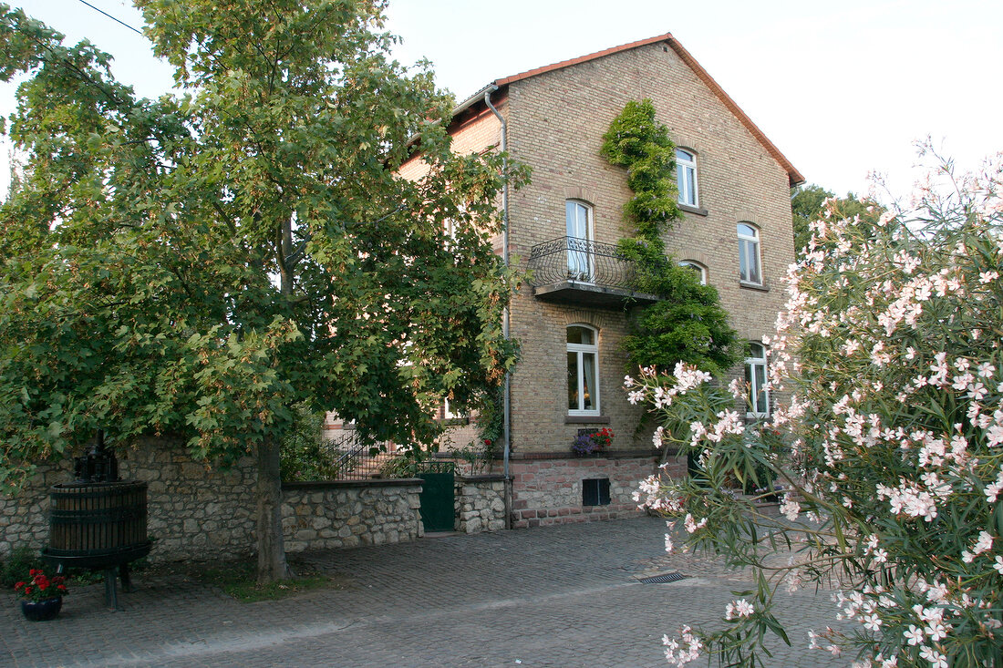 Joachim Flick Weingut mit Weinverkauf Restaurant Vinothek in Flörsheim Floersheim