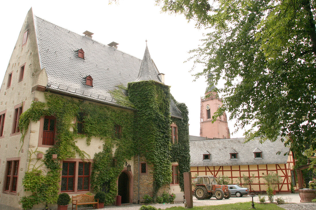 Langwerth von Simmern Weingut mit Weinverkauf in Eltville Hessen Deutschland