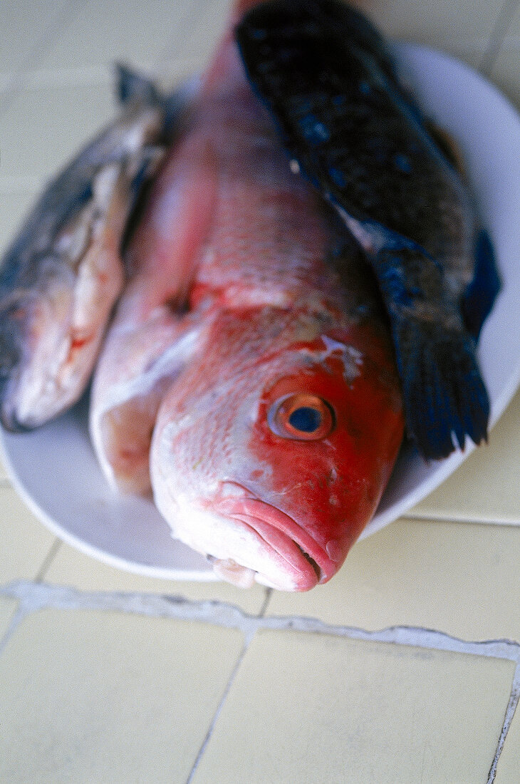 Close-up of several raw fish on white plate
