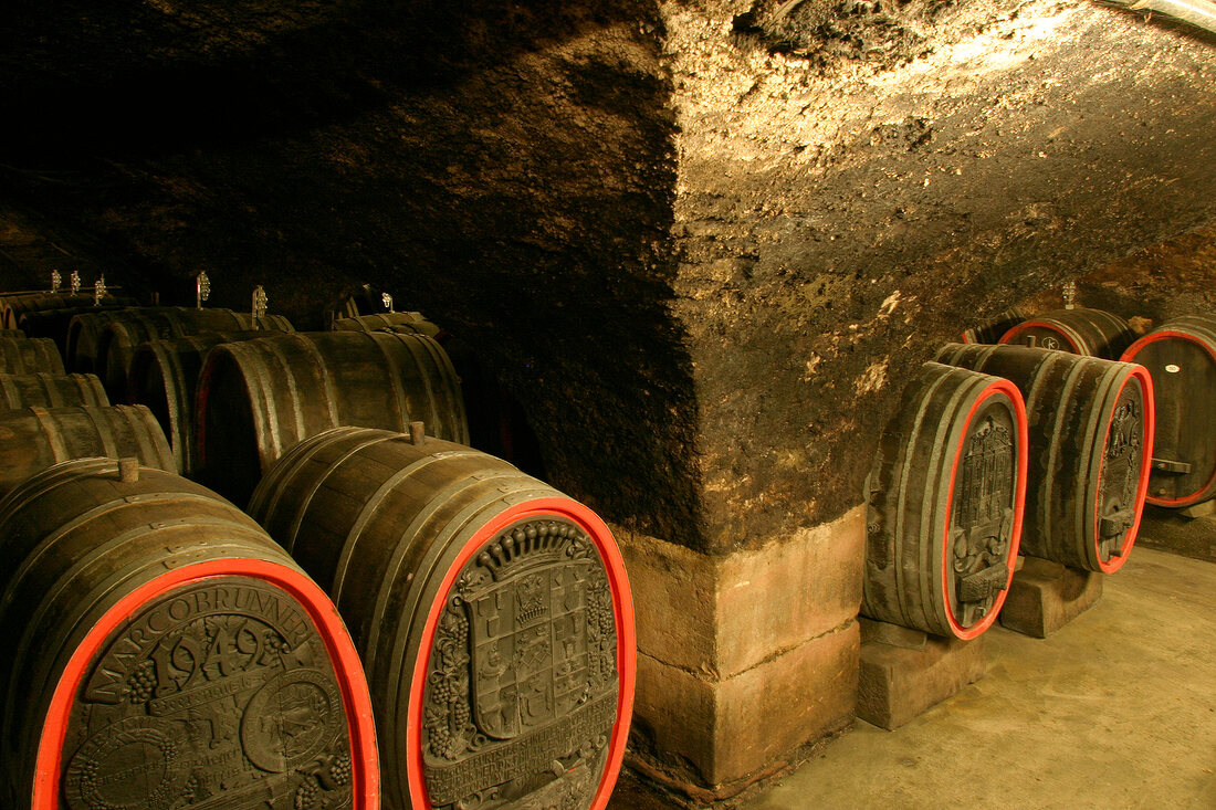 Schloss Schönborn Schloss Schönborn Weingut mit Weinverkauf in Eltville Hessen