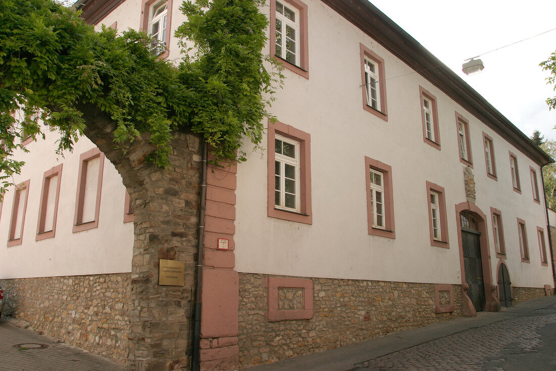 Schloss Schönborn Schloss Schönborn Weingut mit Weinverkauf in Eltville Hessen