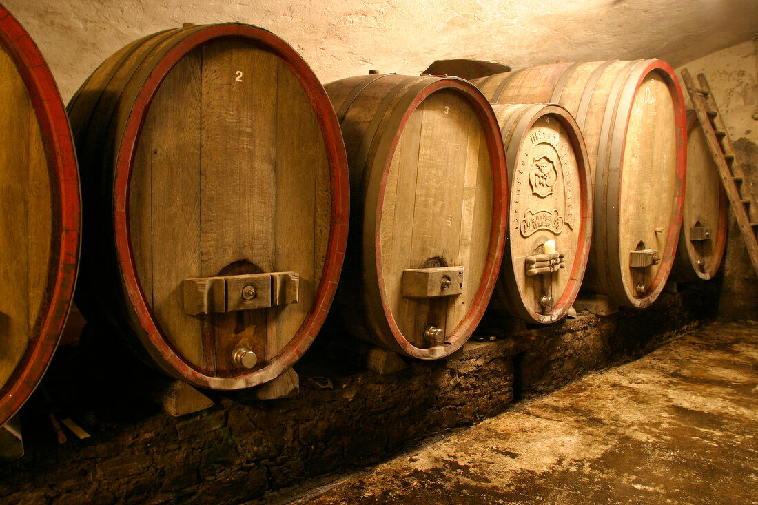 Michael Blendel Weingut mit Weinverkauf in Volkach Bayern Franken