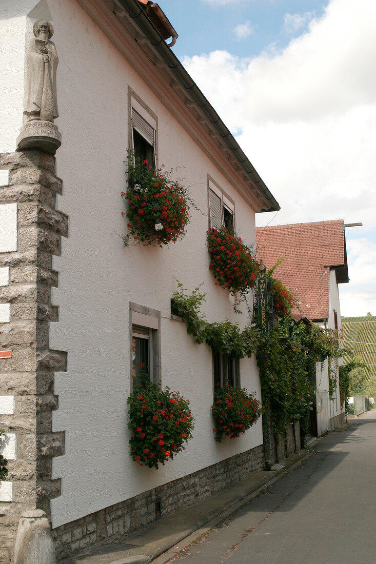 Roman Schneider Weingut mit Weinverkauf in Volkach Bayern Franken