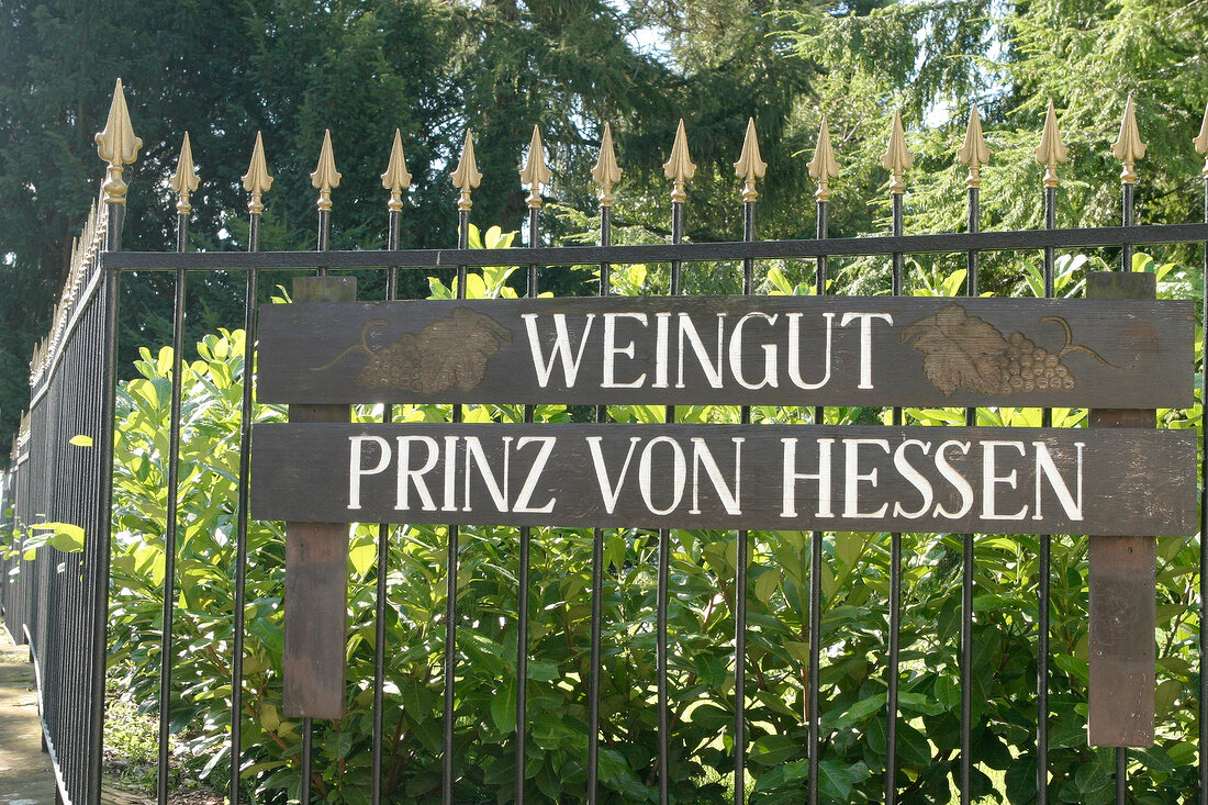 Prinz von Hessen Weingut mit Weinverkauf in Geisenheim Hessen Deutschland