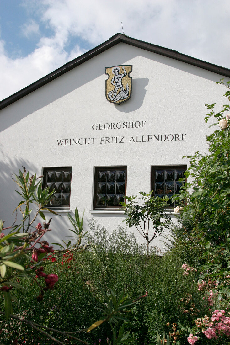 Allendorf Weingut mit Weinverkauf Wein.Erlebnis.Welt Straußwirtschaft