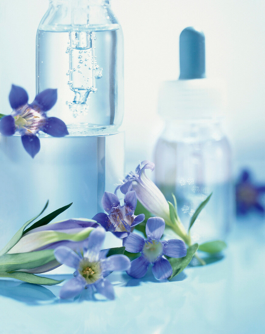 Bach flower remedies in bottle, drops, homeopathy