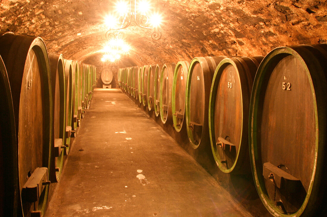 Johannishof - Johannes Eser Johannishof Johannes Eser Weingut mit Weinverkauf in Geisenheim