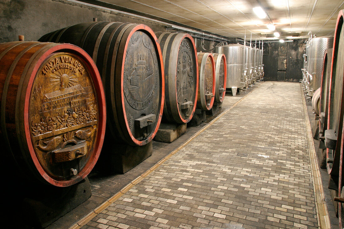 Schloss Westerhaus Weingut mit Weinverkauf in Ingelheim Rheinland-Pfalz Rheinland Pfalz