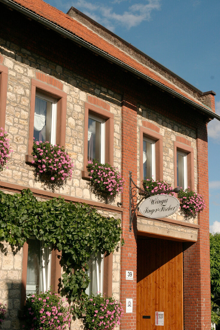 Singer-Fischer Singer Fischer Weingut mit Weinverkauf Gästezimmer