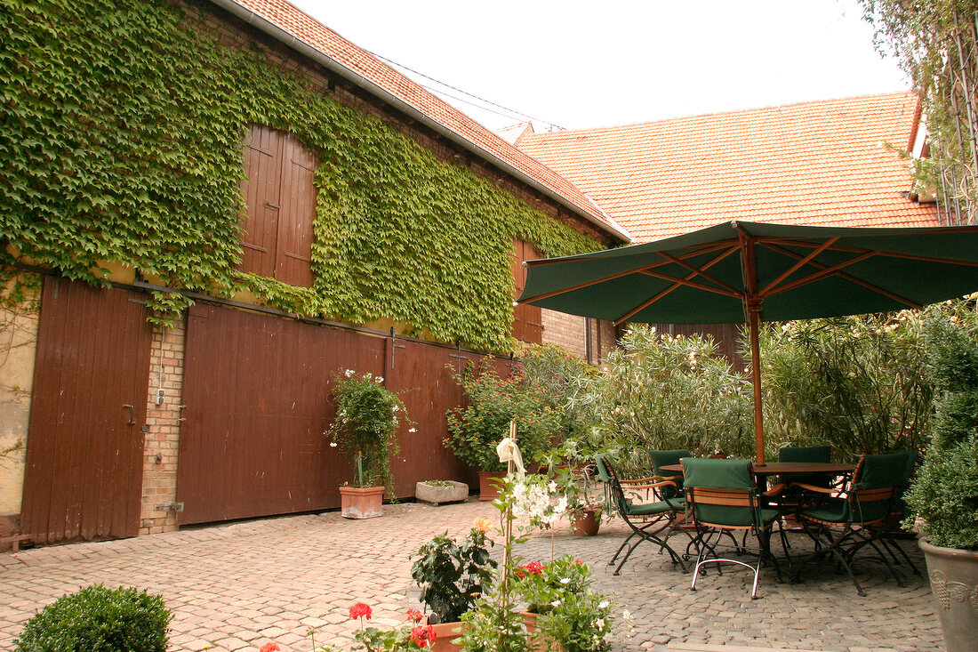 Hildegardishof Weingut mit Weinverkauf in Bermersheim Rheinland-Pfalz Rheinland Pfalz