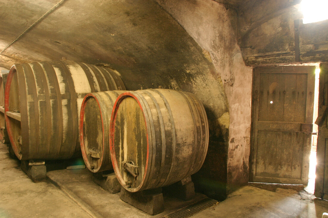 Julius Weingut mit Weinverkauf in Gundheim Rheinland-Pfalz Rheinland Pfalz