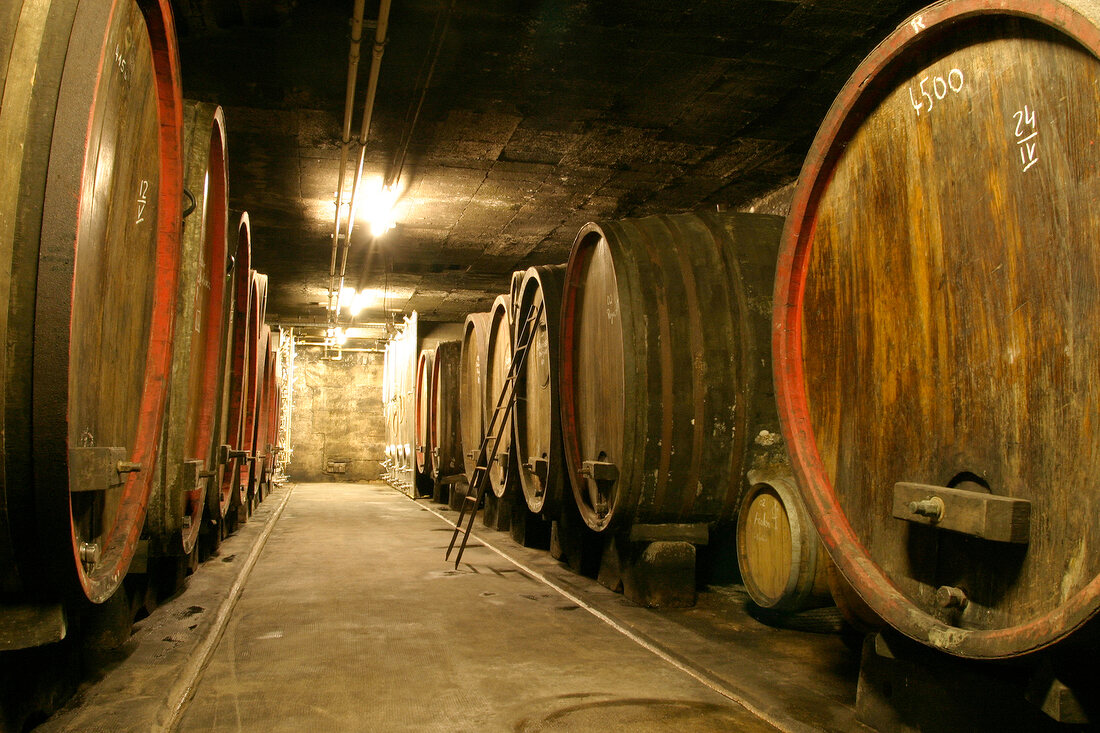 Hirschhof Weingut mit Weinverkauf in Westhofen Rheinland-Pfalz Rheinland Pfalz