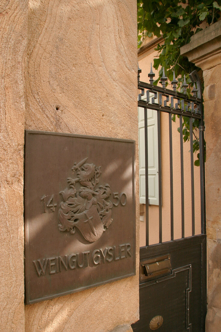 Gysler Weingut mit Weinverkauf in Alzey Rheinland-Pfalz Rheinland Pfalz