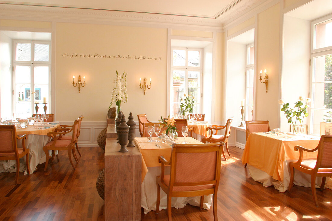 ohne MCB Prinzess von Erbach Restaurant Gaststätte Gaststaette im Hotel Schloss Reinhartshausen in Eltville