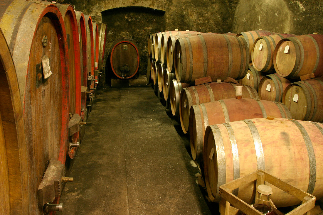 Erich Weidenbach Weingut mit Weinverkauf in Ingelheim Rheinland-Pfalz Rheinland Pfalz