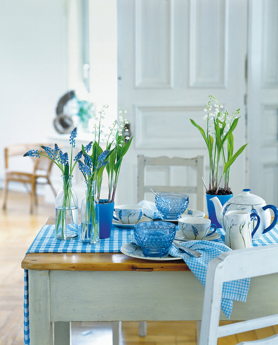 Laid table with lily and Perlhyazinthen in vases and porcelain