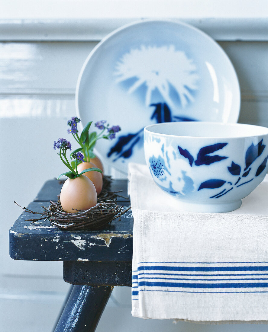 Myosotis with three egg shells in nests, bowl and plates on table