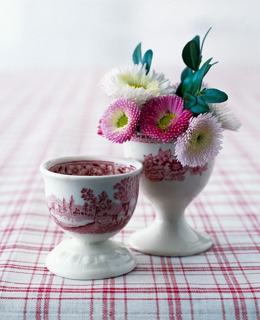 Daisies in a red-and-white porcelain egg cup