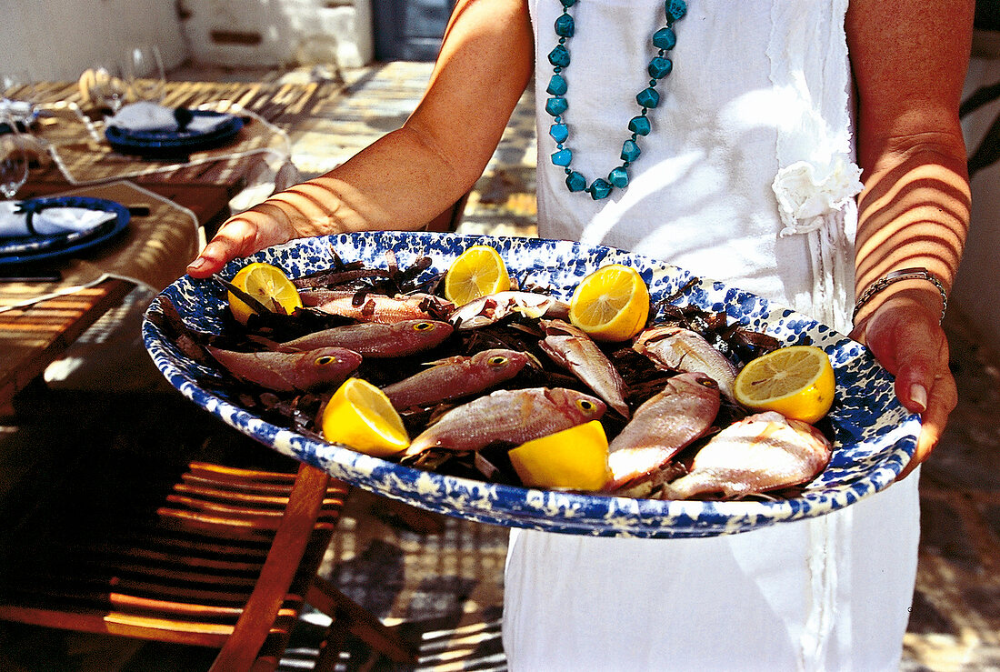 Meerbarben auf Seetang, serviert auf Schale, Griechenland, ohne Rezept