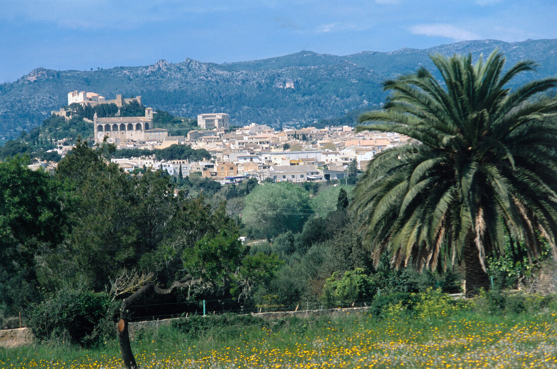 Stadt Arta auf Mallorca, Spanien, Palmen, Landschaft, Natur