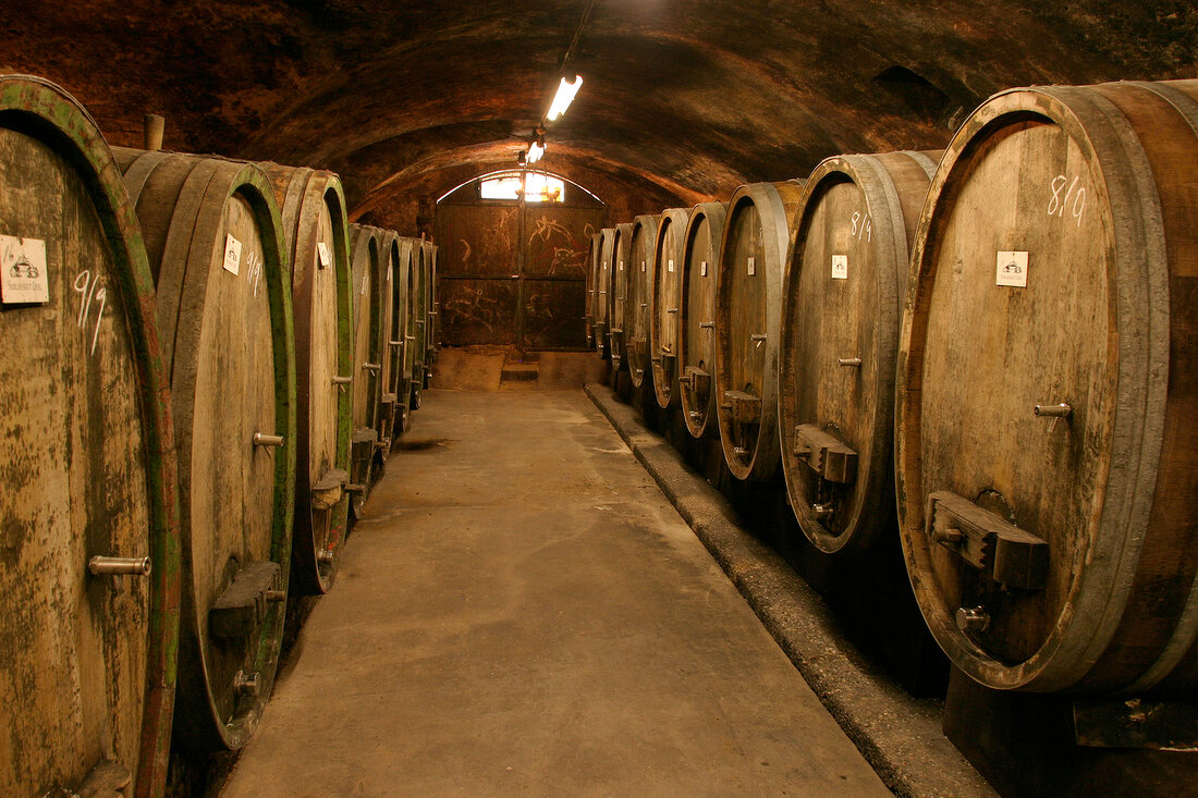 Schlossgut Diel Weingut mit Weinverkauf Vinothek in Rümmelsheim Ruemmelsheim