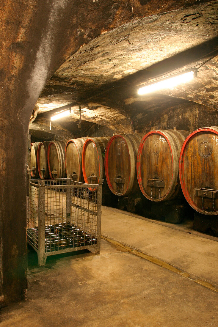 Oberstleutnant Liebrecht Weingut mit Weinverkauf in Bodenheim Rheinland-Pfalz Rheinland Pfalz