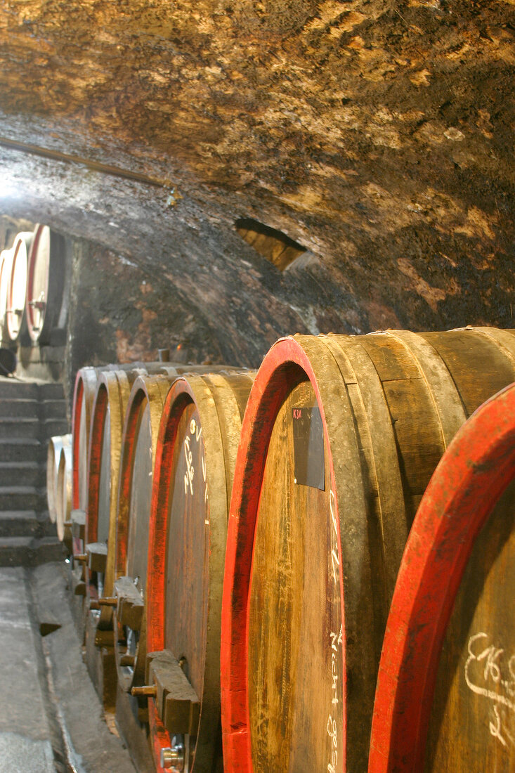 Brüder Dr Becker Brueder Dr. Becker Weingut mit Weinverkauf Gästezimmer