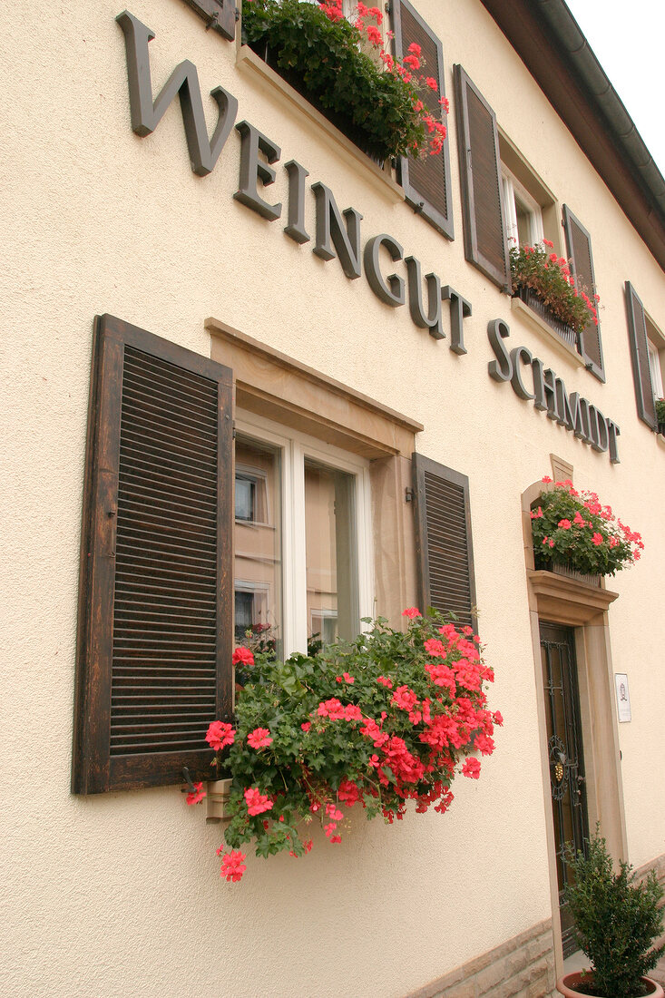 Schmidt Weingut mit Weinverkauf in Obermoschel Rheinland-Pfalz Rheinland Pfalz