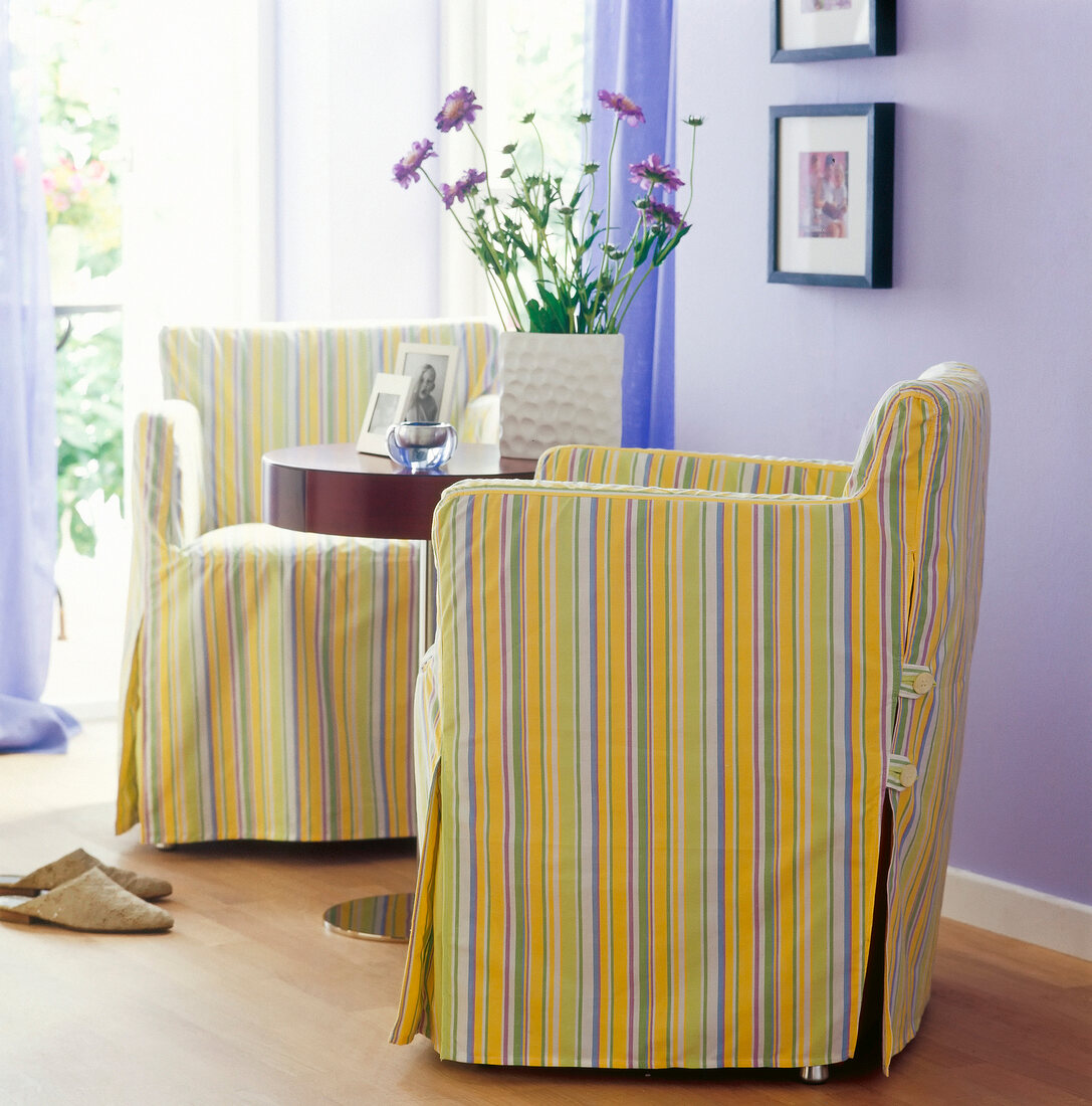 Purple painted living room with striped chair covers on chair