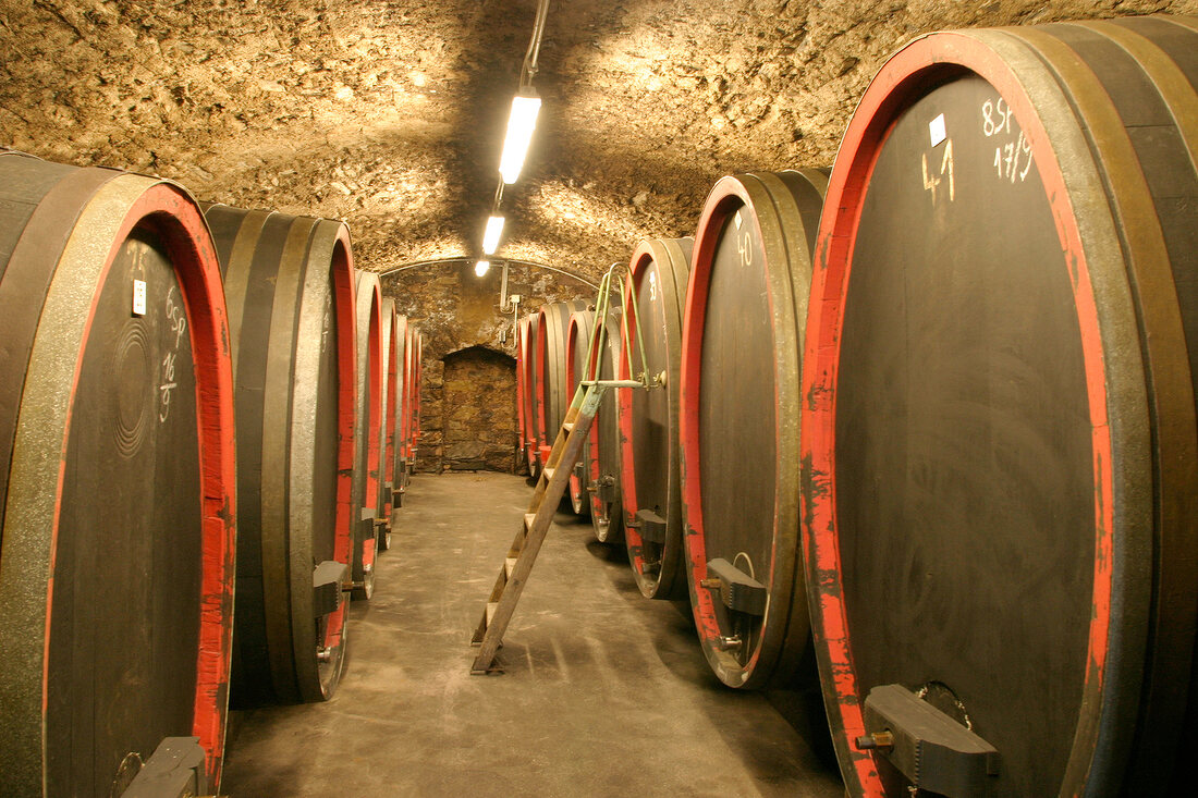 Carl Adelseck Weingut mit Weinverkauf in Münster-Sarmsheim Muenster-Sarmsheim Münster Sarmsheim