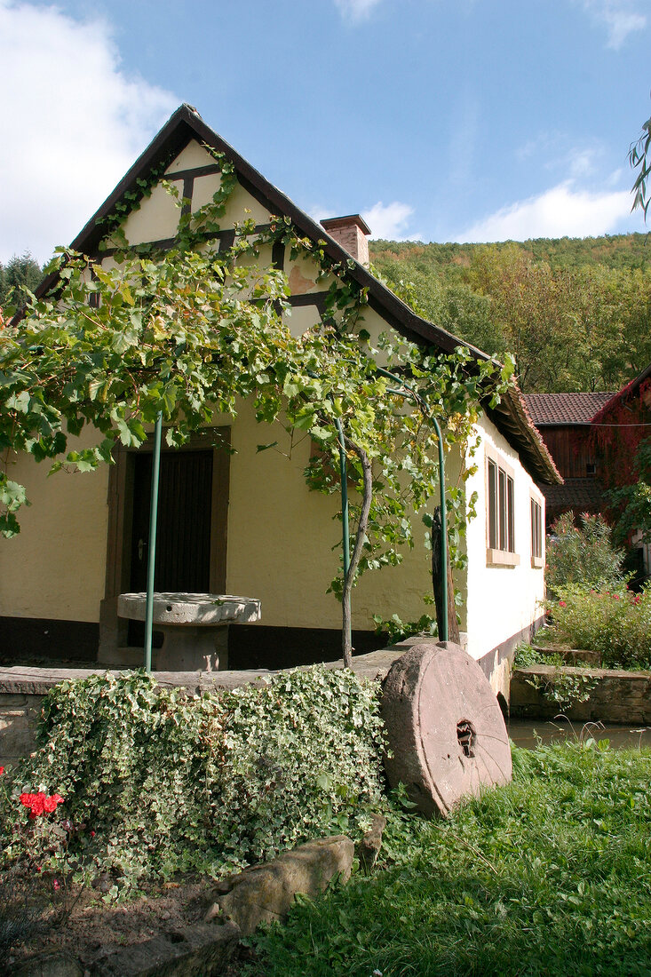 Hahnmühle Hahnmuehle Weingut mit Weinverkauf in Mannweiler-Cölln Mannweiler Cölln