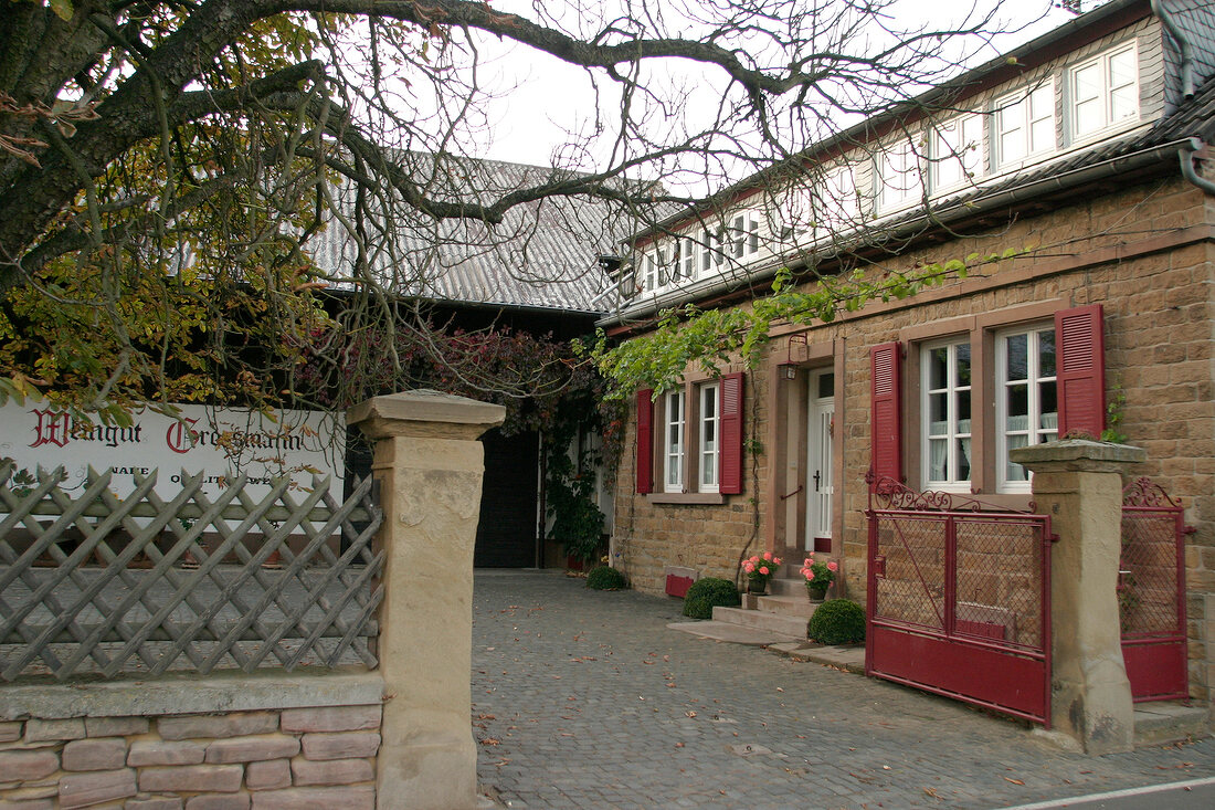 Großmann Grossmann Weingut mit Weinverkauf in Oberndorf Rheinland-Pfalz