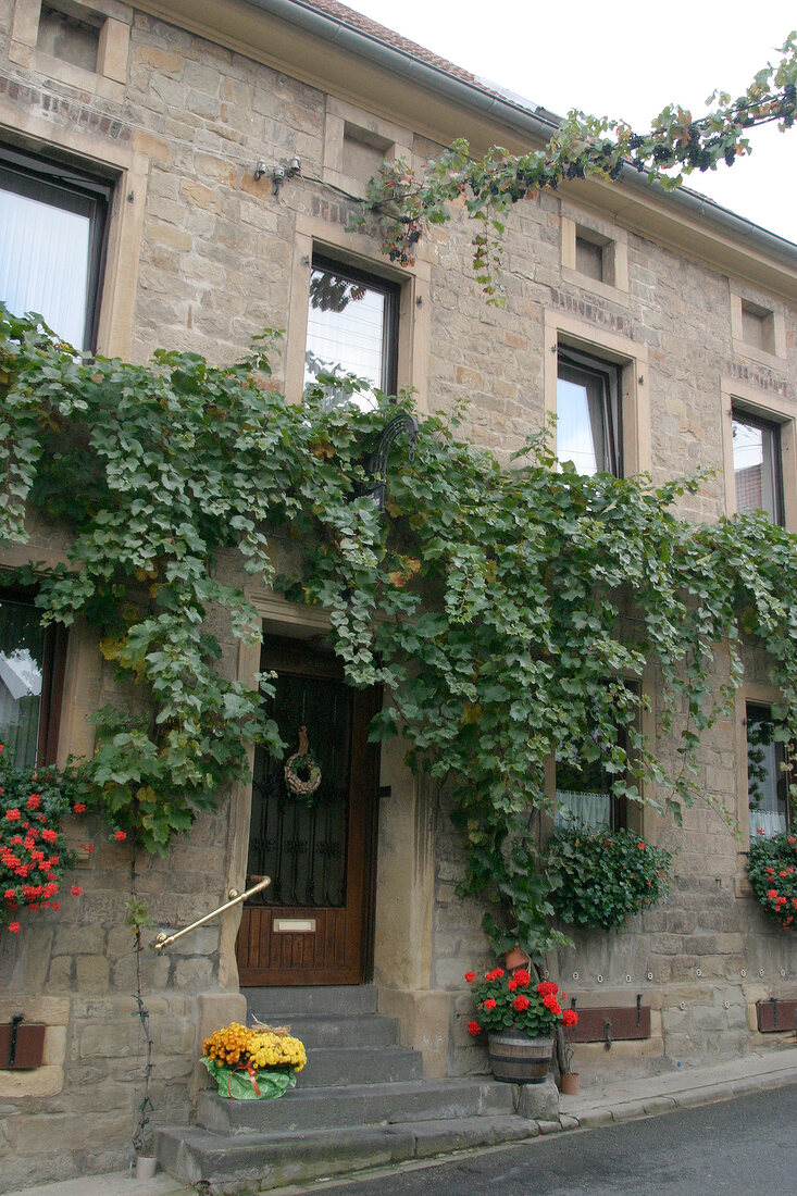 Jakob Schneider Weingut mit Weinverkauf in Niederhausen Rheinland-Pfalz Rheinland Pfalz