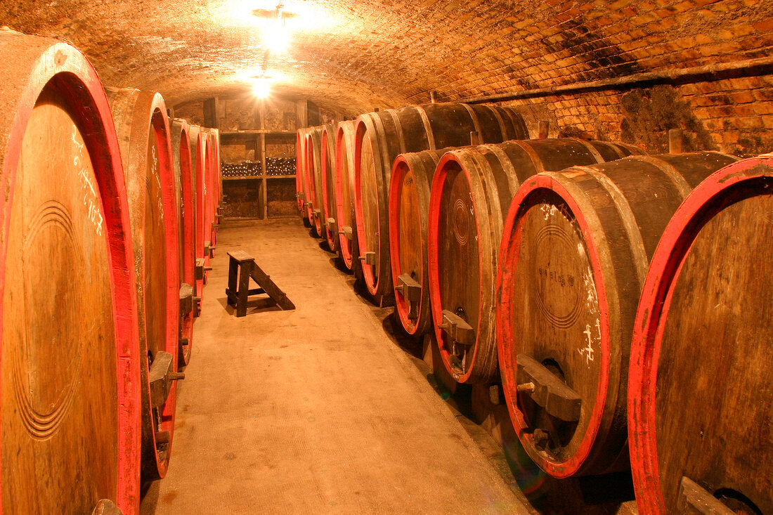 Seebrich Weingut mit Weinverkauf in Nierstein Rheinland-Pfalz Rheinland Pfalz