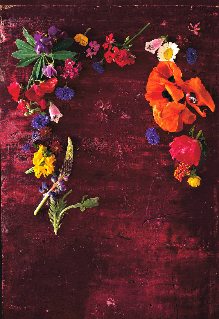 Blumenkranz mit Sommerblumen Dekoration, Studio, innen