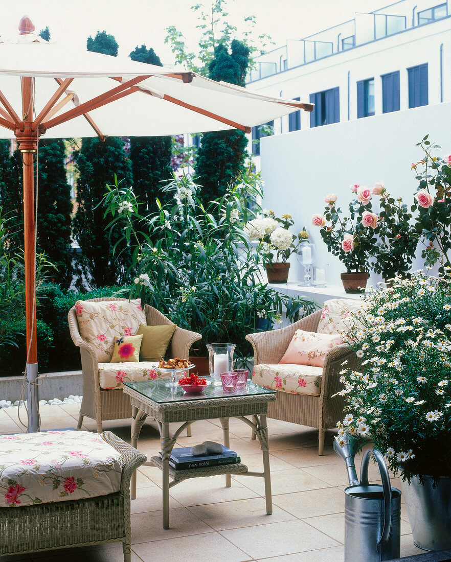 Winter garden with central seating surrounded with plants