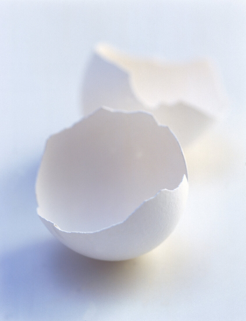 Eggshells on white background
