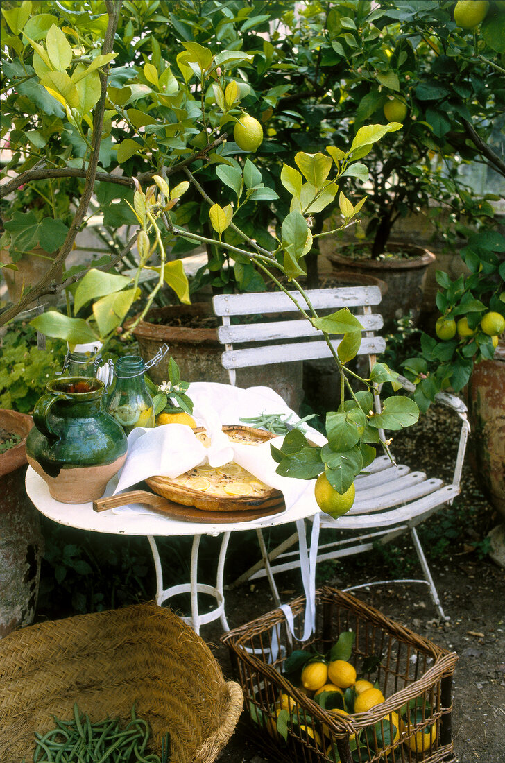 White seat and table under lemon tree