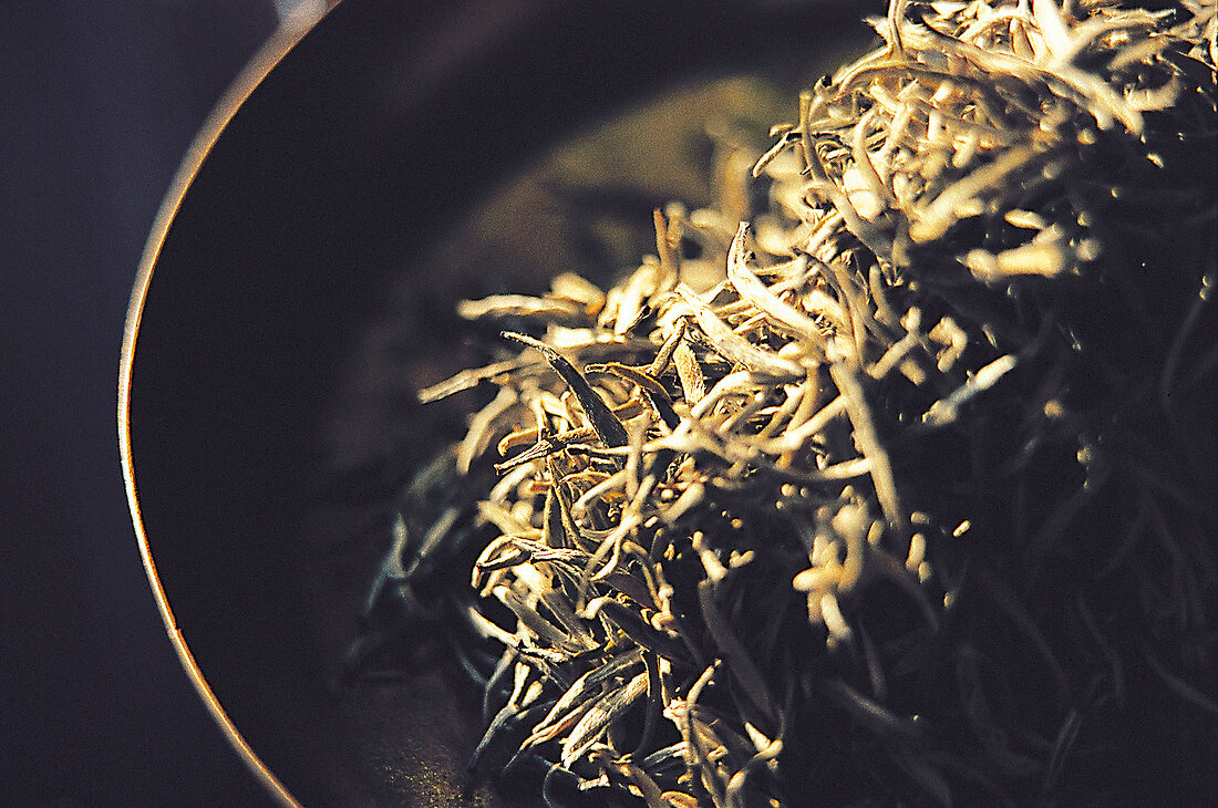 Blattspitzen und Knospen von grünem Tee