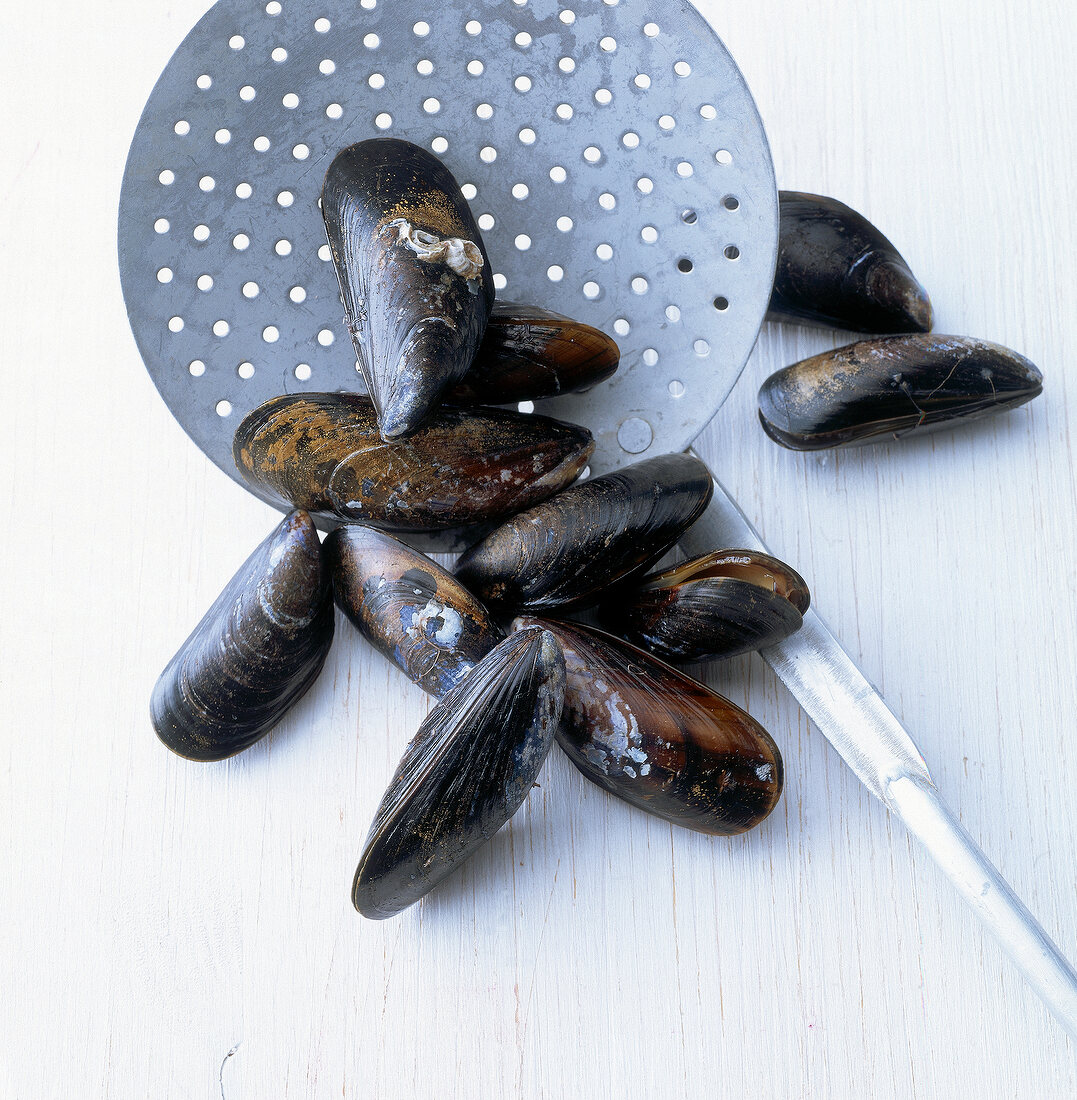Close-up of mussels with ladle on table