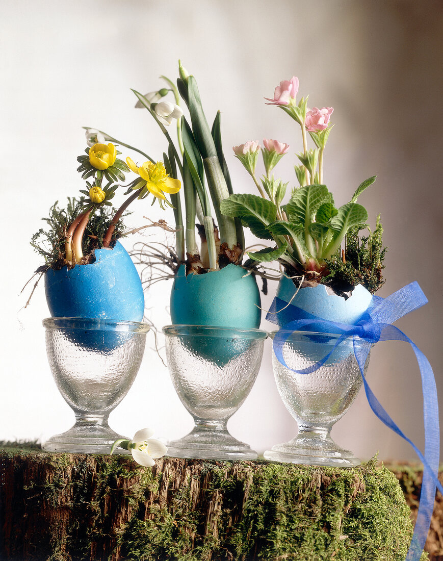 Colourful egg shells with flowers in small vase - Easter decoration