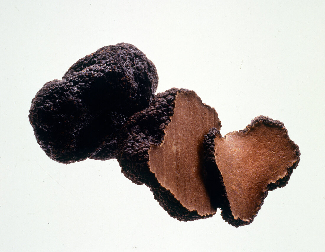Close-up of slices of chocolate truffle on white background